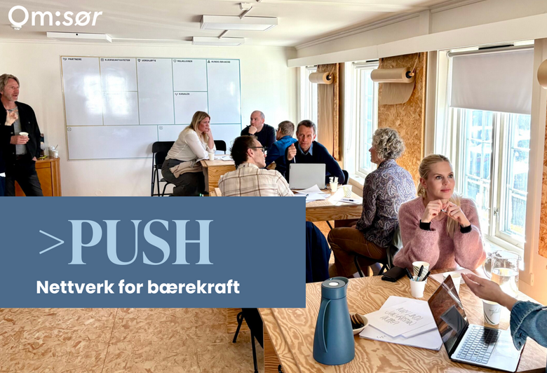 PUSH – Bærekraftsnettverk